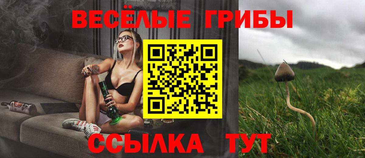 Бошки Шишки  Новосибирск  АМФЕТАМИН кристаллы  Вход с VPN  МЕФ кристаллы  ГАШИШ  Cocaine  ГАШИШ 